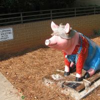 Pig At Davidson Co. Library, Lexington, NC, Давидсон