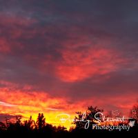 Sunrise!, Джексонвилл