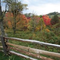 Blue Ridge Parkway Fall Color, Кулими