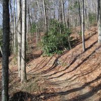 North Carolina Trail, Маунтайн-Хоум