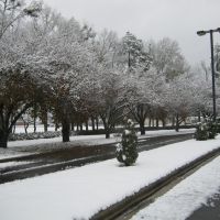 December 2010 Snow, Уайтвилл