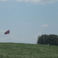 Confederate flag off 155, Аламо