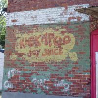 Kickapoo Joy Juice, Аламо