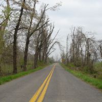 Ice storm Damage in Graves County KY, Глисон