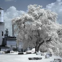 The Mill in Infrared, Лебанон