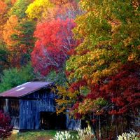 Fall in Heidrick, Kentucky,, Миддл Валли