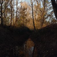 Bear Creek in Fall, Миллингтон