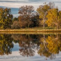 Fall Reflections at Orgill Park, Миллингтон