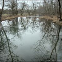 Little Butler Creek Reflections, Мичи
