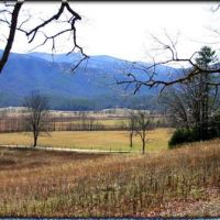 Cades Cove from the Big Tree, Tennessee, Ниота