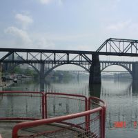 River and bridges, Ноксвилл
