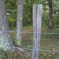 Fence post, Рокфорд