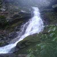 Squibb Creek Falls, Хамптон