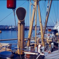 Galveston 1961/1962 MS Lüneburg, Аламо-Хейгтс