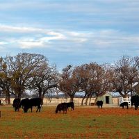 Abilene Ranch, Аспермонт