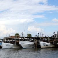 Mishos Seafood Lugger Fleet, Барнет