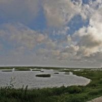 Estuary at Galveston, Бренхам