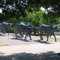 Bronze cattle sculpture in Pioneer cemetery, Даллас