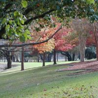 Autumn in Bel Meade Park, Кирби