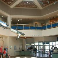 Texas State Aquarium - Corpus Christi, TX, Корпус-Кристи
