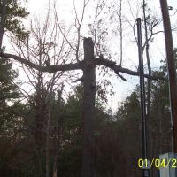 Cross in the woods near home, Либерти-Сити