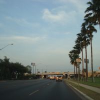 Jackson Ave and Expwy 83, McAllen Tx, Мак-Аллен