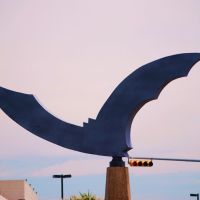 Bat sculpture, intersection of Congress Avenue and Barton Springs Road., Остин