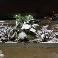 Snow near Ellington Field, Пирленд