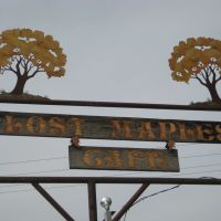 lost maples cafe, Пирсалл