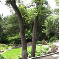 Austin- Zilker Botanical Gardens Rose Garden Overlook, Роллингвуд