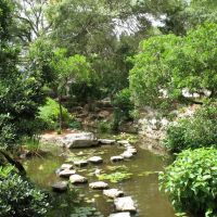 Austin- Zilker Botanical Garden Japanese Garden, Роллингвуд