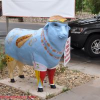 When Ewe R Hungry - San Angelo, Texas Sheep, Сан-Анжело