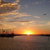 Sunrise, Corpus Christi, Тафт