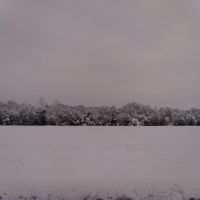 11 inches of fresh snow in Texas - 02/2010, Террелл