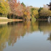 Reflection of autumn-colored trees in the water of the pond, Фармерс-Бранч
