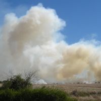 Fire on US 59, Эль-Кампо