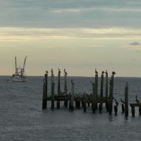 Shrimp Boat and Pelicans, Апалачикола