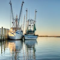 Shrimp Boats at Apalachicola, Апалачикола
