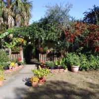 cool front yard, historic Apalachicola Florida (11-26-2011), Апалачикола