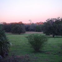 Lykes old fields at twilight, old Spring Hill, Florida (1-2007), Балдвин