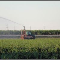 Irrigating Sugarcane Crop, Белл-Глейд