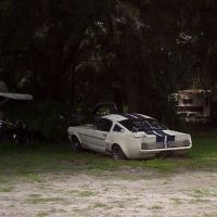 1966 Shelby GT350 in trailer park, NOT FOR SALE but it was, Brooksville Fla (2003), Беллиир-Бич