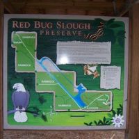 Red-Bug-Slough Preserve, Би-Ридж