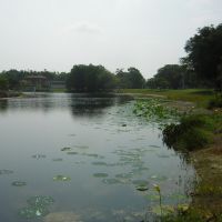 Shrinking Lake @ Beautiful Heritage Park, Plantation Fl., Бродвью-Парк
