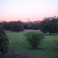 Lykes old fields at twilight, old Spring Hill, Florida (1-2007), Вест-И-Галли