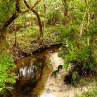 Gainesville Creek - Gainesville - Hawthorne Trail, Гайнесвилл