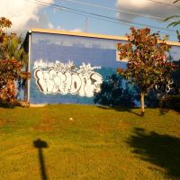 Graffiti, Гайнесвилл