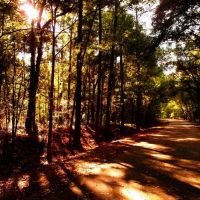 Gainesville-Hawthorne Trail, Гайнесвилл