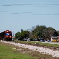 South Central Florida Express Railroad Sugar Cane Train at Clewiston, FL, Гарлем