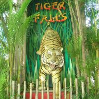 Tiger Falls at the Palm Beach Zoo, Глен-Ридж